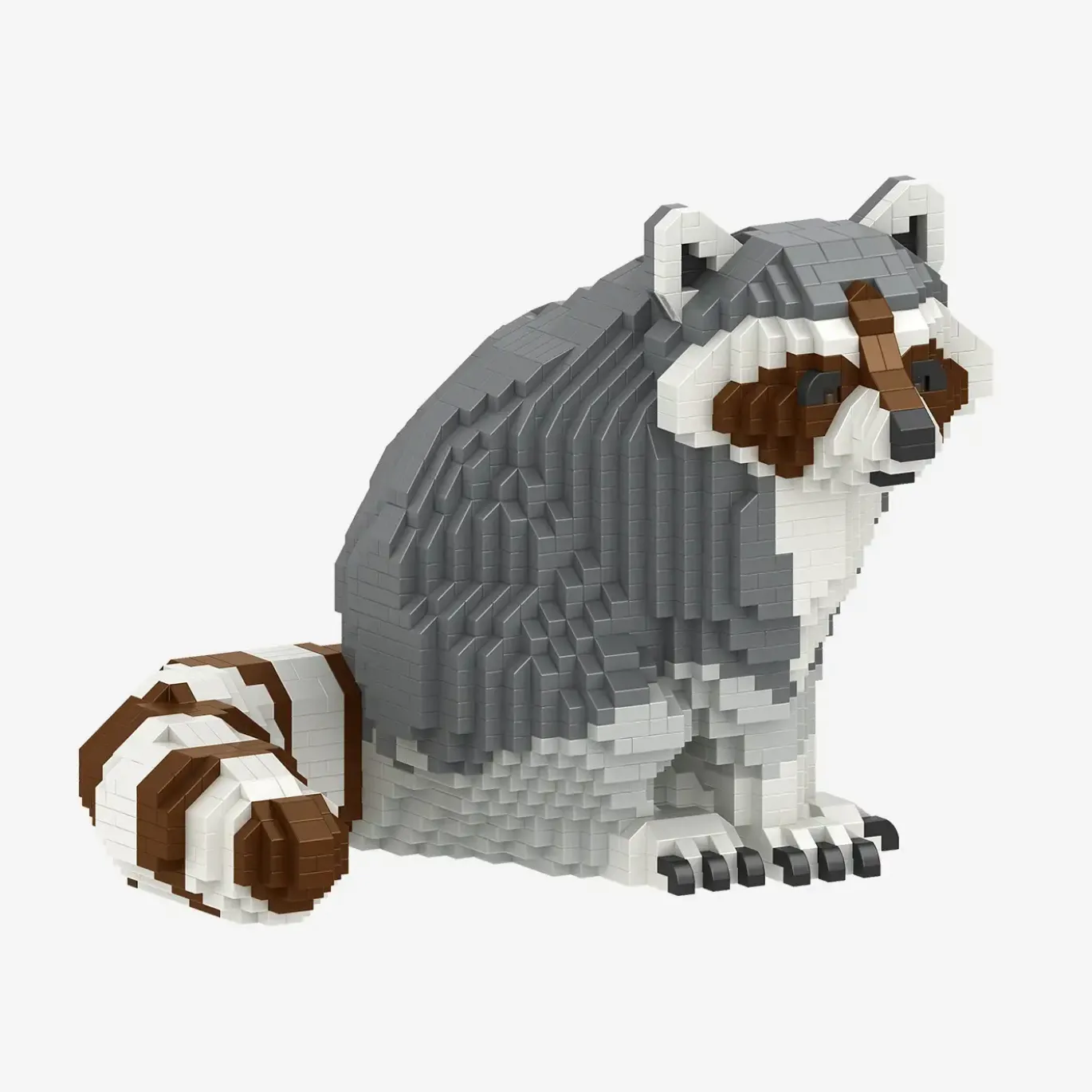 Waschbär