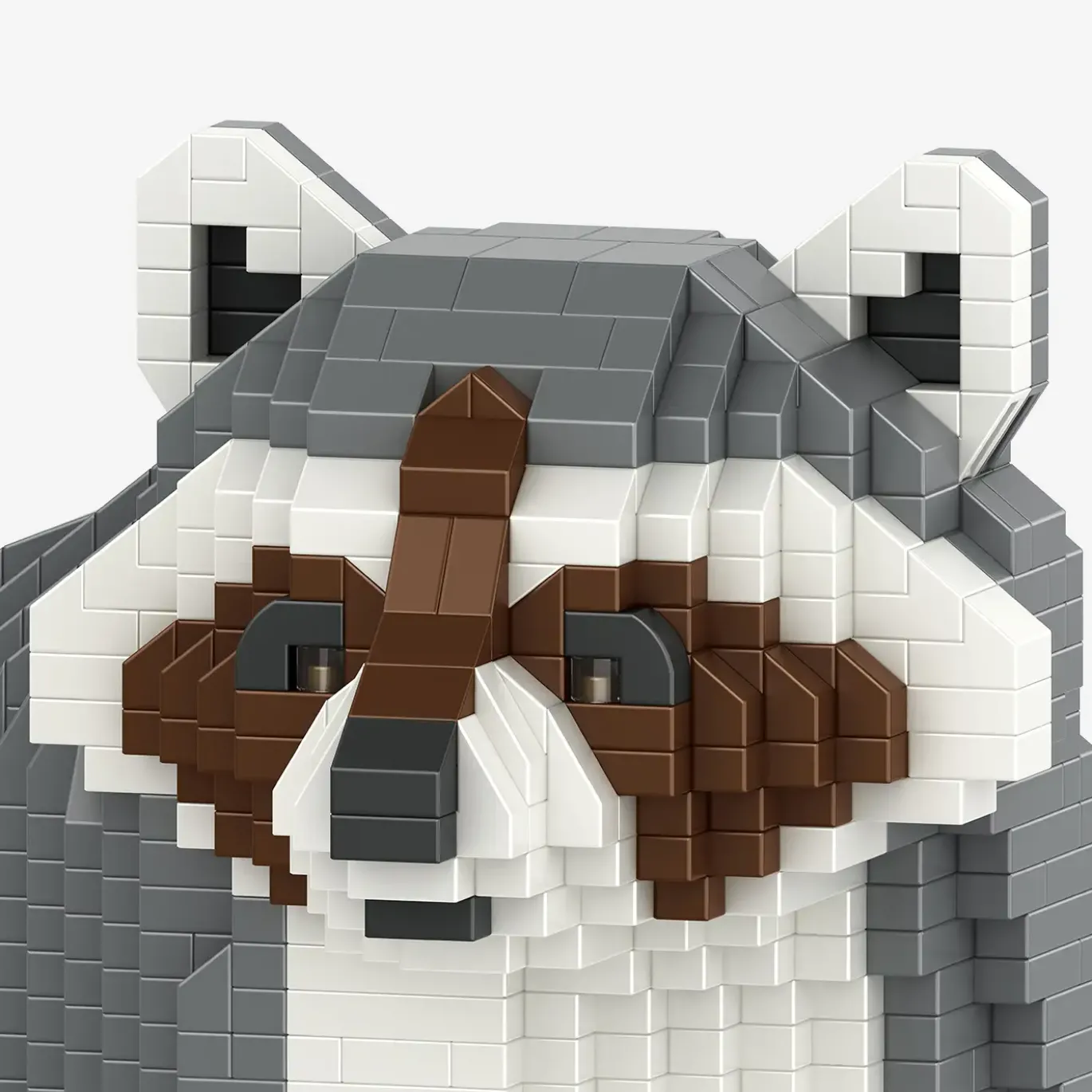 Waschbär