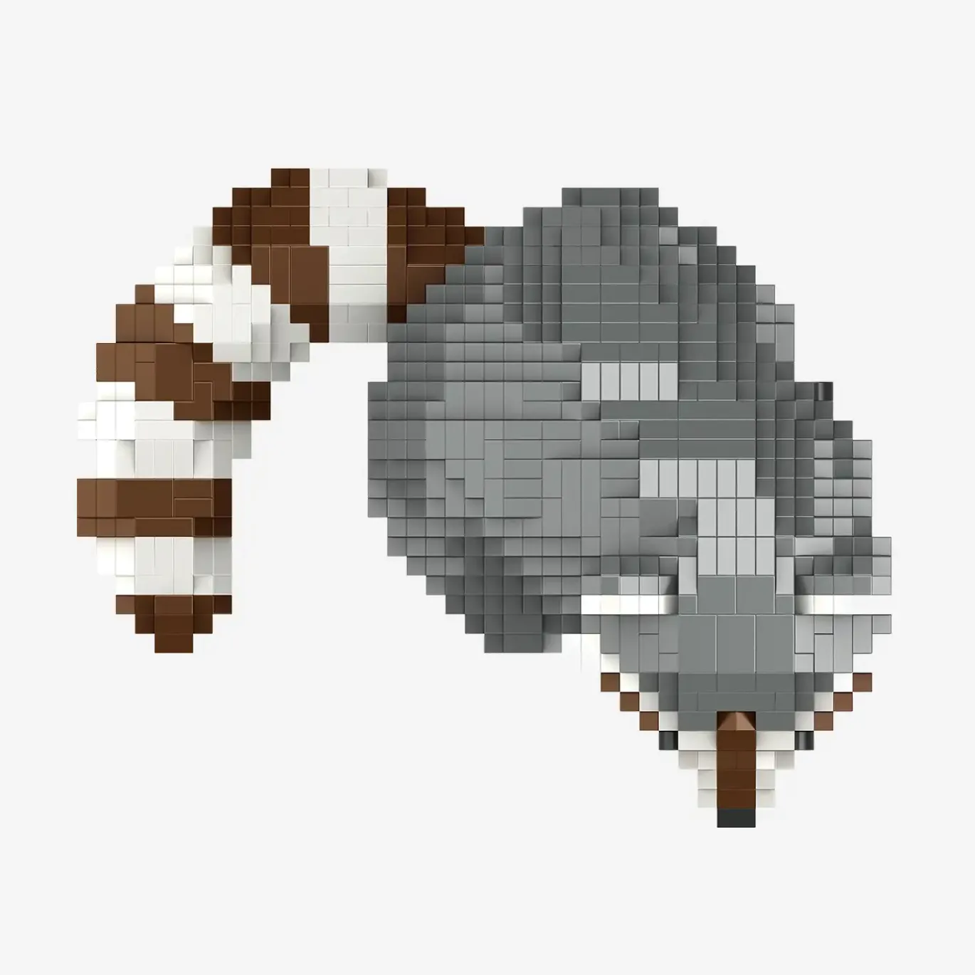 Waschbär