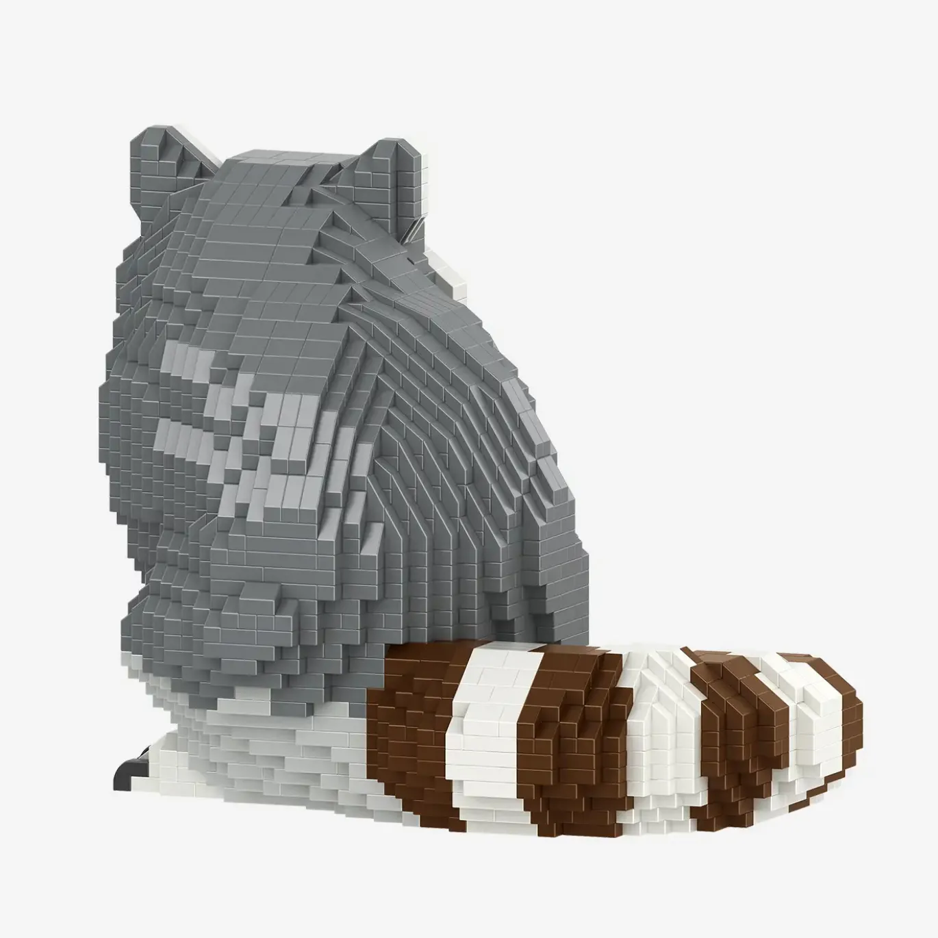 Waschbär