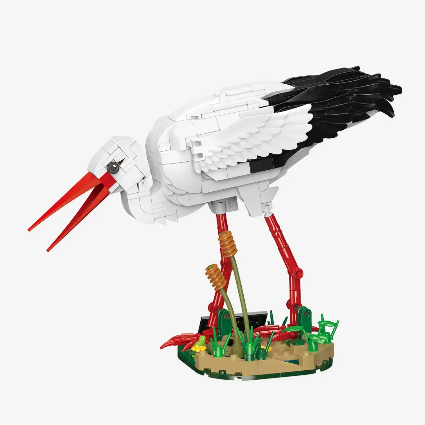Weißstorch