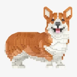 Welsh Corgi