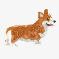 Welsh Corgi