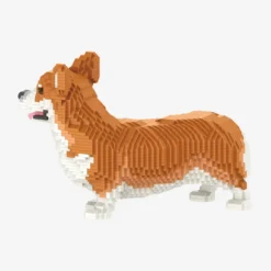 Welsh Corgi